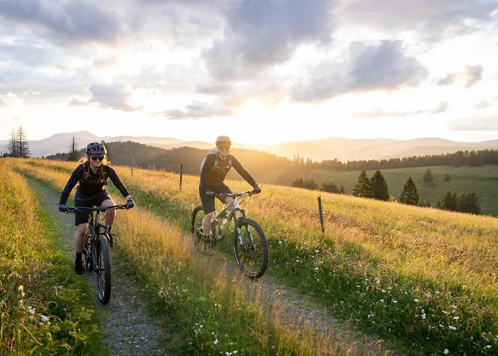 Das Waldhotel - Genuss & Wellness Am Notschreipass