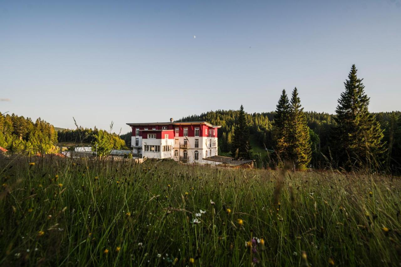 Waldhotel - Genuss & Wellness Am Notschreipass Todtnau