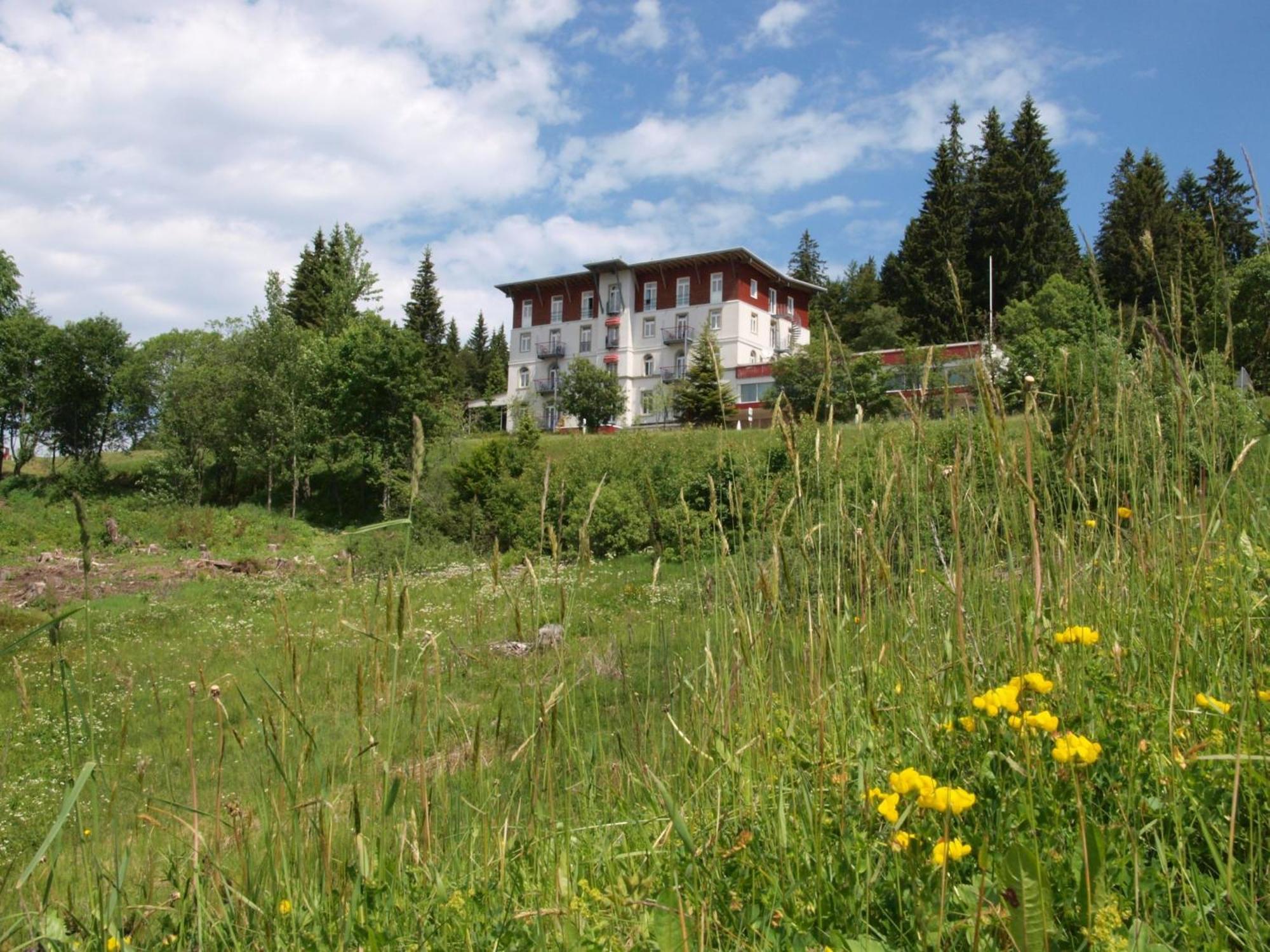Waldhotel - Genuss & Wellness Am Notschreipass Todtnau