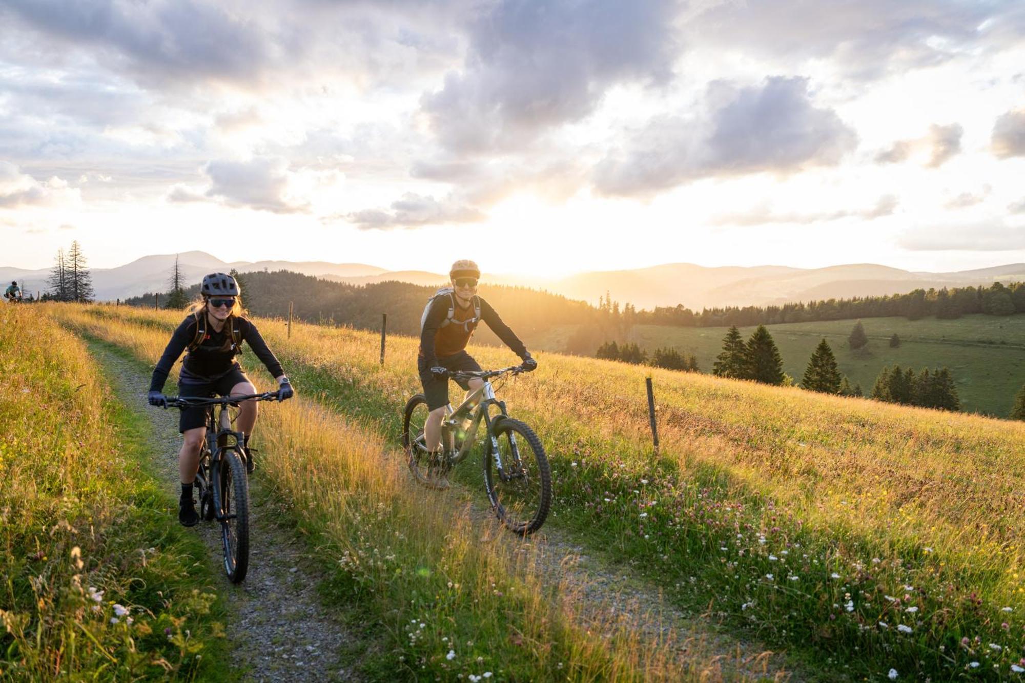 Waldhotel - Genuss & Wellness Am Notschreipass 4* Todtnau