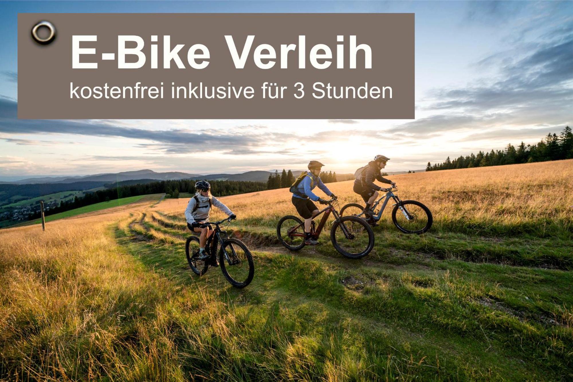 Waldhotel - Genuss & Wellness Am Notschreipass Hotel 4*